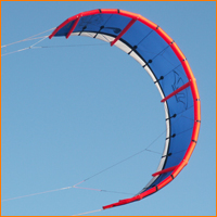 Twister Fujita 2 2007 New Sexy Shape Kite Amazing, pictures!
